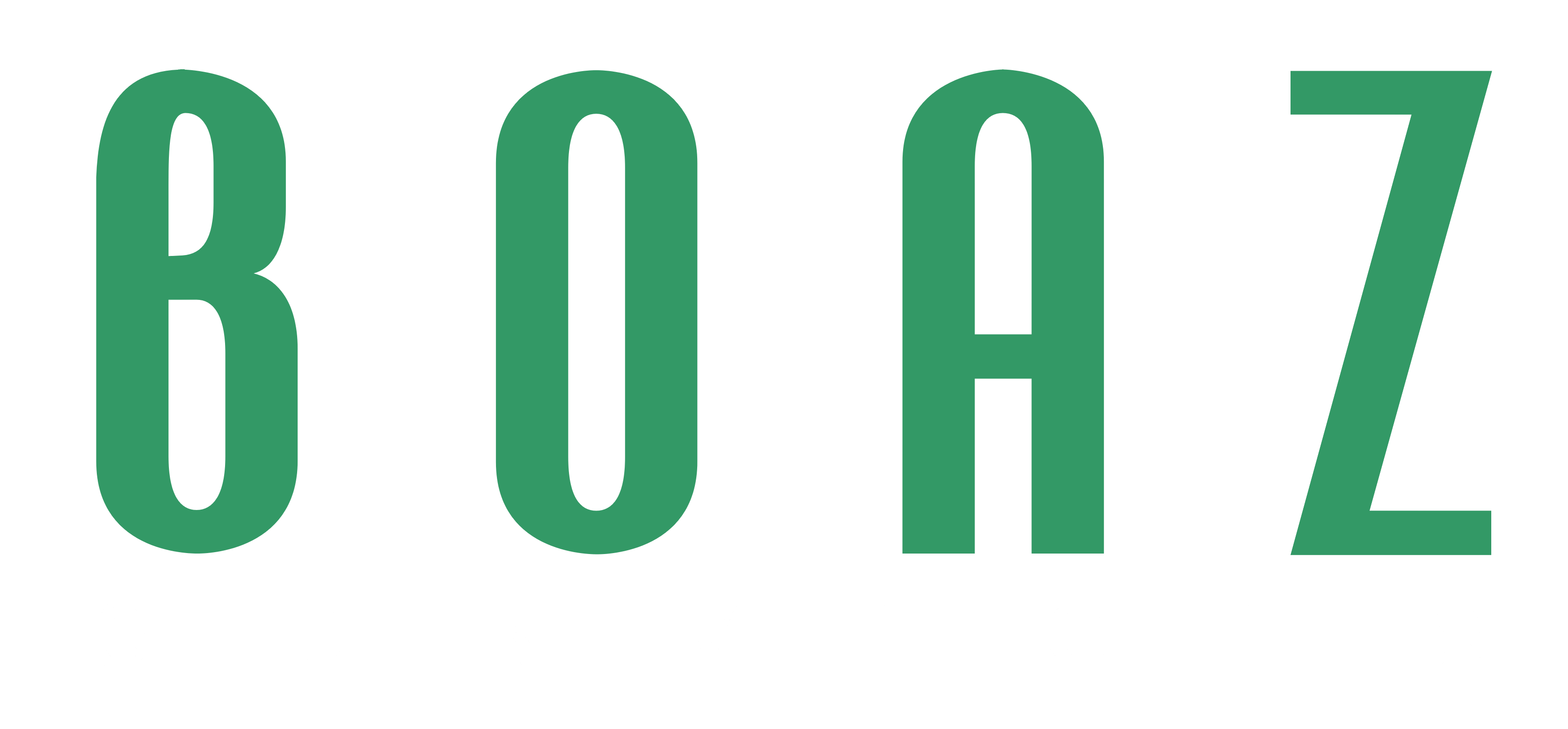 BOAZ Services
